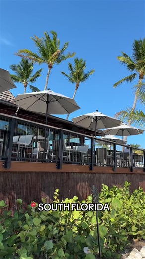 Oceanside Safari: Islamorada Restaurant Review