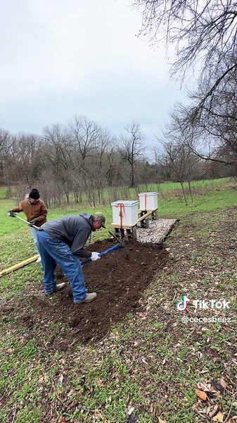2026 Apiary: Spring Beehive Preparations