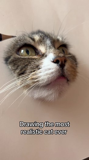 Drawing the Most Realistic Cat Ever in 60 Hours