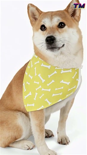 5 Things Dog Owners Do That Everyone Hates 🐕