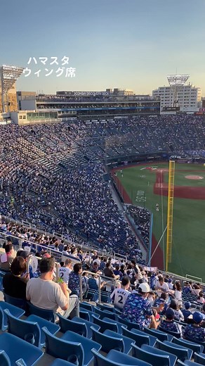 横浜スタジアムのウィング席の詳細ガイド