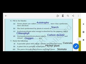 Solution Of Nutrition in Plants chapter 1 Science NCERT solutions class 7