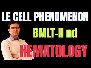 LE CELL PHENOMENON||BMLT 2nd HEMATOLOGY