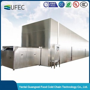 [Hot Item] Factory IQF Tunnel Freezer Freezing Machine / Tunnel Freezer Liquid Nitrogen / Freezing Equipment for Sale