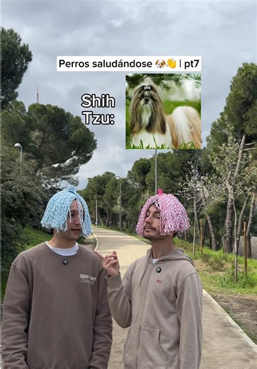 El último: 😑 @Kokealvarez_ #humorperros #humorviral #humormascotas #perrosderisa #memesdeperros