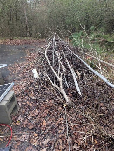 cleared out some trees to move the solar array back #homestead