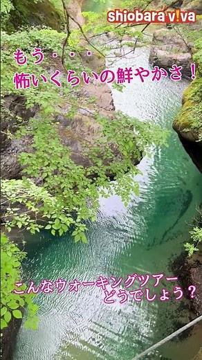 心と体が軽くなる！エメラルドグリーンの秘密の渓谷 / Secret Emerald Green Gorge