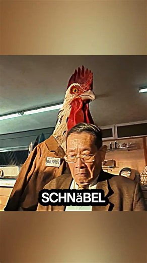 Eggs banned ⚠️🥚 | A country ruled by roosters 🐓👑 #shorts