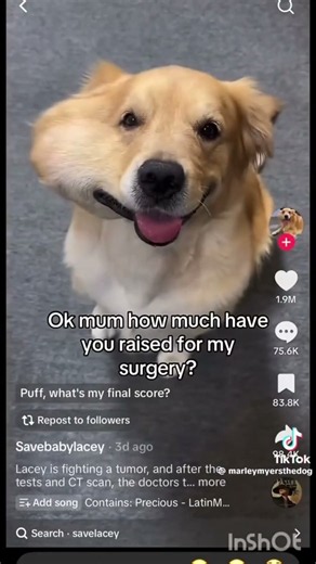Beware of these types of scams on TikTok or anywhere else on social media