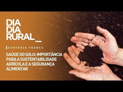 Saúde do solo: importância para a sustentabilidade agrícola e a segurança alimentar