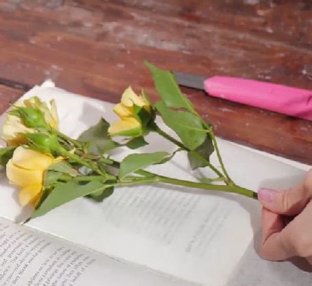 873K views · 2.1K reactions | Beautiful crafts made with some nature gifts! | 5-Minute Crafts | Facebook