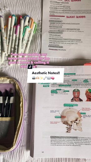 Aesthetic Note Taking Tips for College Studying