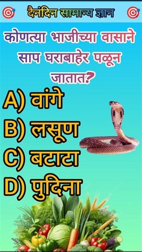 GK Quiz Questions And Answers | 99% लोकांना माहित नाही | सामान्य ज्ञान #gkfacts #gkquestion