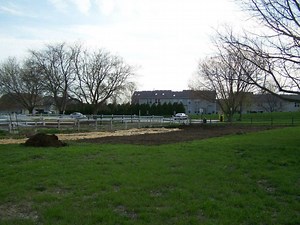 Help the Food Pantry Win a Garden Grant