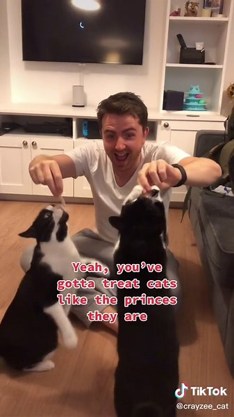 Will Smith Cat Parody: The Fresh Prince of Bel-Air with Cats