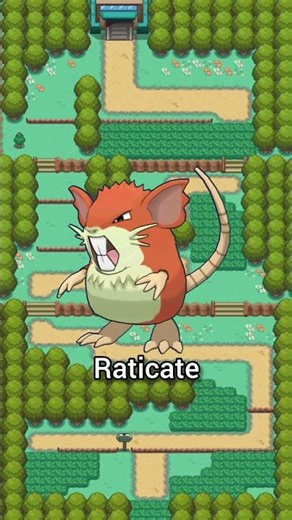 buffing all pokemon - Raticate! #raticate #pokemon #subscribe #kanto #pokemonbuffs