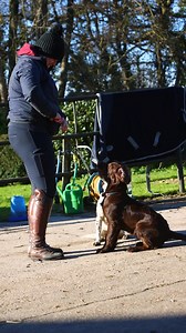 I love this video Paige Sanders photography captured of me having some fun with my dog Trifle and Georgie’s dog Minstrel with a synchronised spin. It took us a couple of goes but I can’t get over the cuteness 🥹🥹🥹 Trifle and Minstrel are from the same litter and are just the sweetest, kindest dogs and they love learning their tricks and showing them off. Where would we be without our best friends? 🥰🥰🥰🥰 | Alice Oppenheimer Dressage