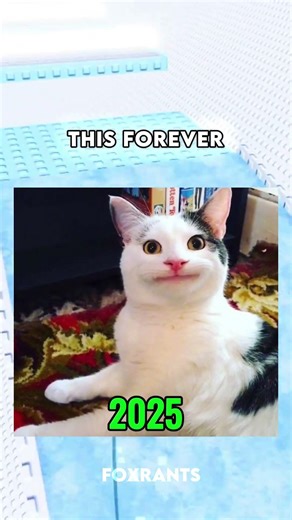 TikTok Meme Stars You Forgot About Part 2💀#roblox #robloxrant #rblx #relatable