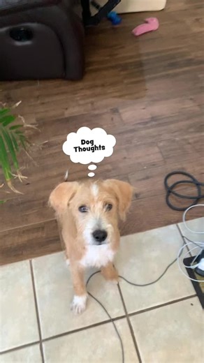 Patricia Blanco5671 on TikTok