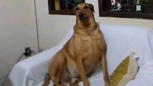 Leandro | Know Your Meme