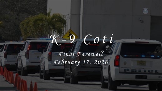 The Sarasota Police Department is honoring the life and service of retired K-9 Coti, who worked beside Officer Nick Dominis from 2014 until his medical retirement in 2021. Coti passed away on Sunday, Feb. 15. To recognize his dedication to the City of Sarasota, Government, Officer Dominis and members of the K-9 Unit escorted Coti on a ceremonial final ride past police headquarters on Tuesday. The community stood alongside the department during the farewell tribute. Coti made his final journey in
