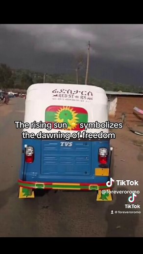 Understanding the Meaning of the OLF Flag 🌳