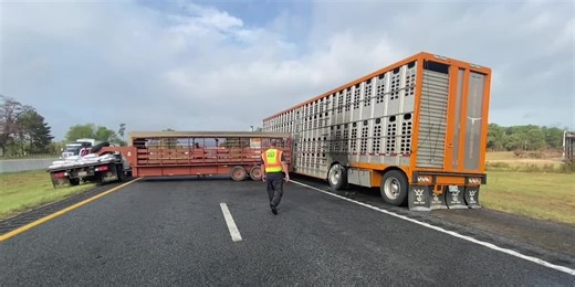 Cattle truck fire delays traffic on I-20 near Kilgore