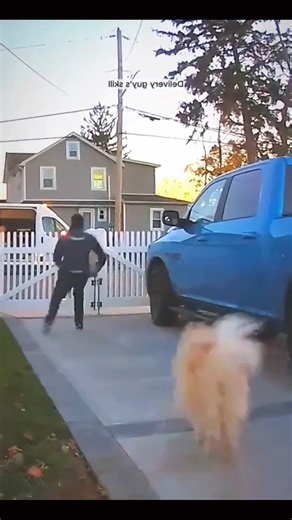 Wild Animal Encounters: 🇺🇸Real-Life Close Calls & Safety Tips | Educational Wildlife #usa #animals