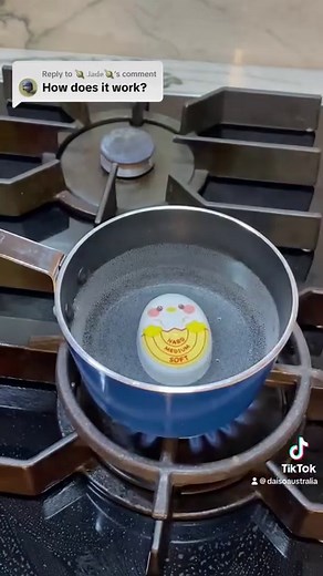 4.2K views · 13 reactions | How to read the Egg Timer! . . . #daiso #eggtimer #time #egg #boiledeggs #kitchen #cooking #daisoaustralia | Daiso Australia Official | Facebook