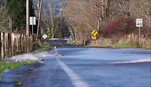 520K views · 10K reactions | El letrero inusual dice "Conduzca lentamente, cruce de peces" Límite de velocidad 40. Sucede cerca del río Skokomish, Shelton, Washington, EE. UU. Si el río se desborda, los salmones toman atajos y nadan a través de la carretera para ir río arriba para desovar. Sucede casi todos los años, ¡increíble! (J Lo) | Dana García | Facebook