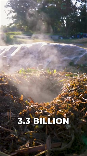 How Hot Composting Reduces Food Waste Impact