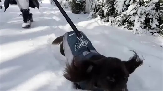 Winter weather brings heavy snow, flight cancellations across Northeast and Southeast