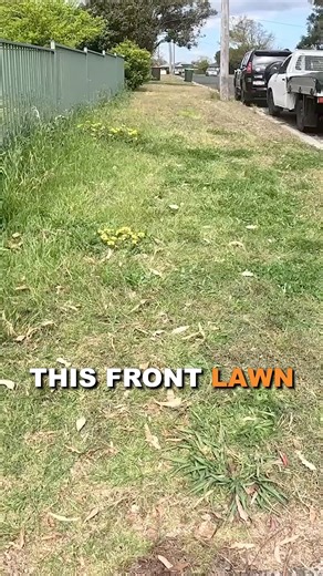 Lawn Maintenance Is All About The Details! | Blade Mate Lawn Care