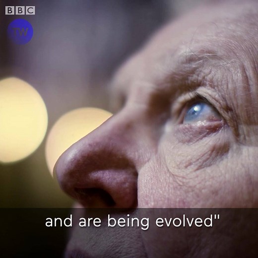 3.2M views · 14K reactions | We dare you to name a more inspiring trio than Brian Cox, David Attenborough and Charles Darwin! | BBC Earth | Facebook