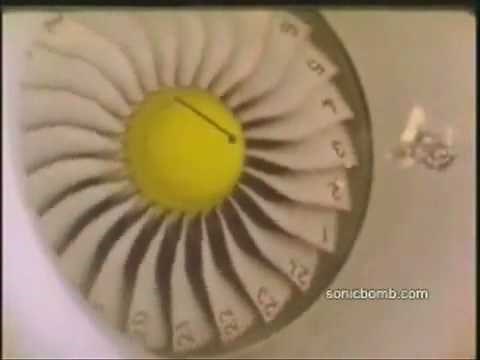 BIRD INTO JET ENGINE