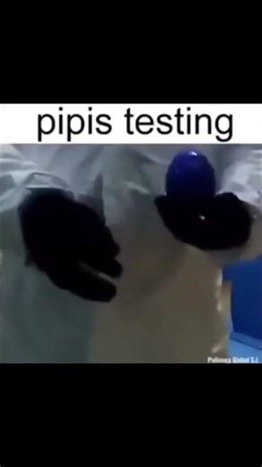 pipis testing | deltarune #deltarune