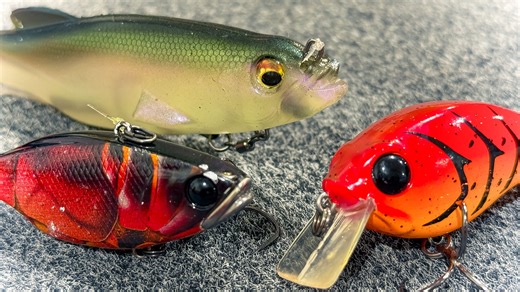 Where Bass Go In Spring!! (And How To Catch Them) — Tactical Bassin' - Bass Fishing Blog