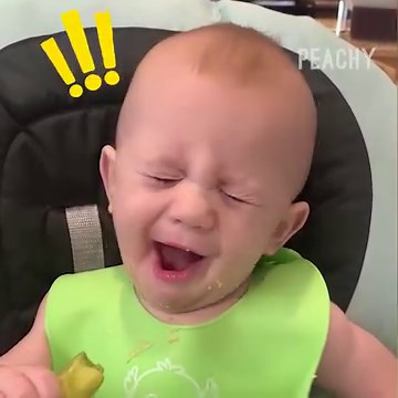 82K views · 1.6K reactions | Tiny Tastebud Tickle: Babies vs Food  | Peachy | Facebook