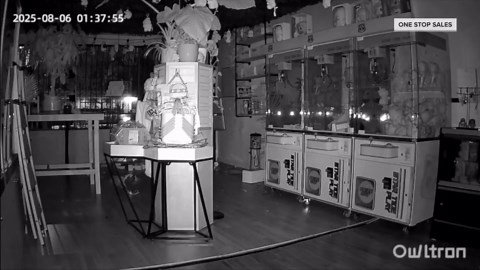 Fake Labubu Dolls Pose Choking Hazard, Safety Officials Warn