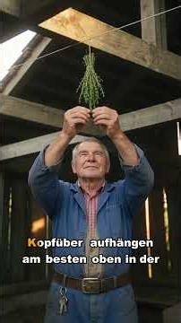 Kräuter richtig trocknen ohne Strom #kräuter #garten #selbstversorger