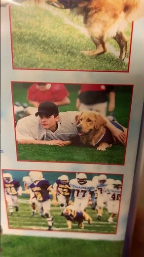 Air Bud Golden Receiver Movie