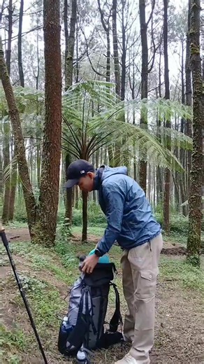 Mendaki Gunung Merapi: Pesona Alam yang Menakjubkan