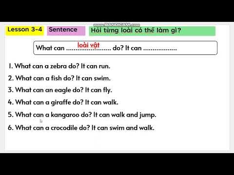 Unit 4 Lesson 34 Sentence Part 2