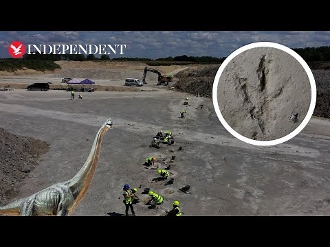 Researchers find nearly 200 dinosaur footprints during Oxfordshire quarry dig