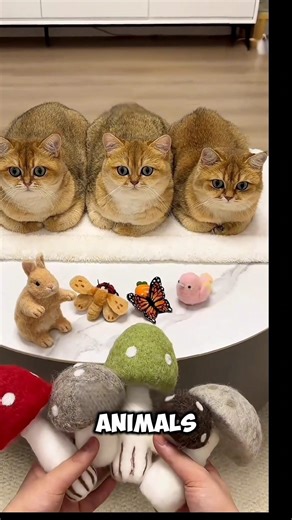 Cat Dream Tower Comes to Life So Cute You’ll Cry 😱😨