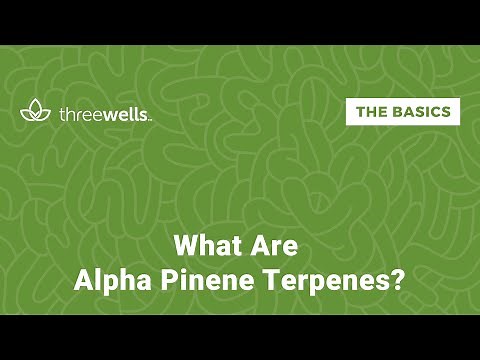 Cannabis as a mental stimulator? Look for Alpha Pinene Terpenes.
