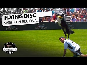 Incredible Dog Challenge: Freestyle Flying Disc Western Regional | NBC Sports