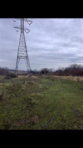 Down in the bottomlands running beagles. It's a welcomed change from chasing birds. Allows you to slow down, be patient, and enjoy the chase. Blessed to hunt over great hounds. #rabbit #beagle #hunting | Donaye N April