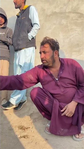 German Shepherd, price 100k