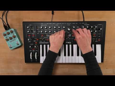 Moog Messenger Sound Demo with Custom Presets